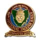Car Club Lapel Pins