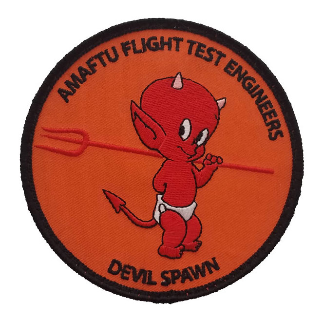 Defence engineer and flight crew badges